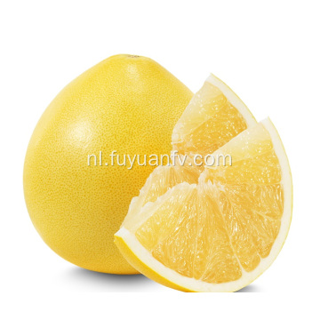 Verkoop verse zoete pomelo